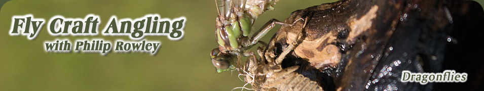 Dragonflies, Entomology. Fly Fishing Philip Rowley